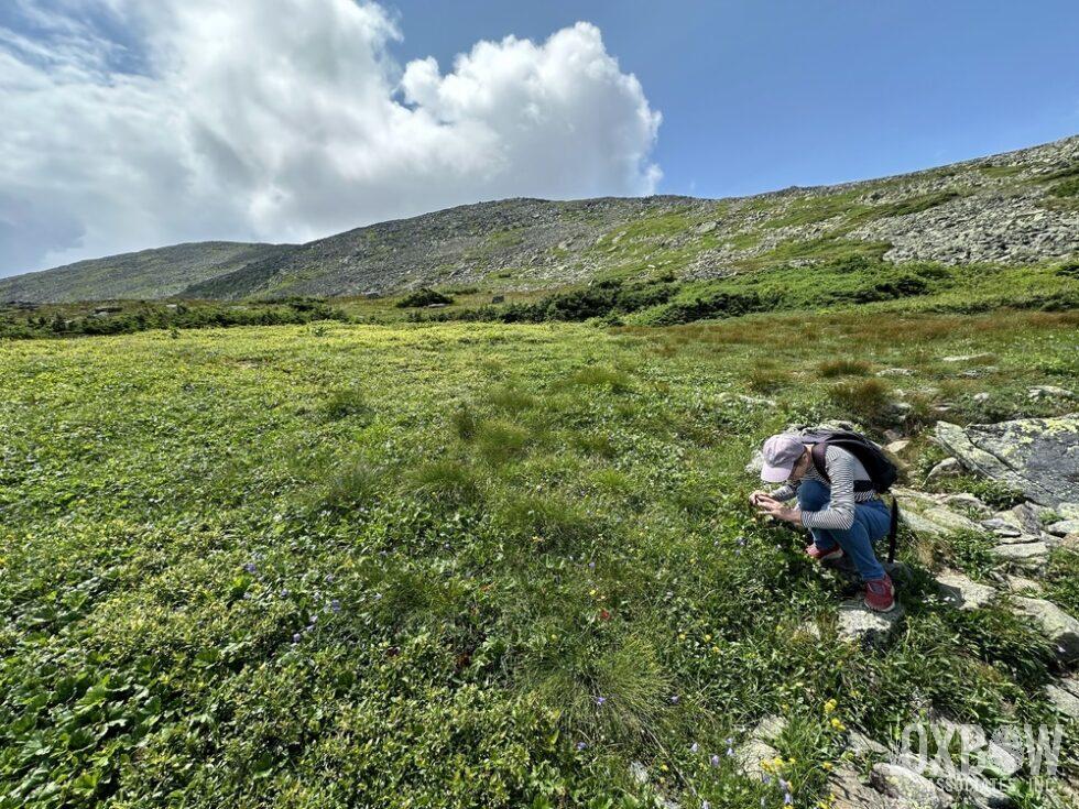 a person in a field