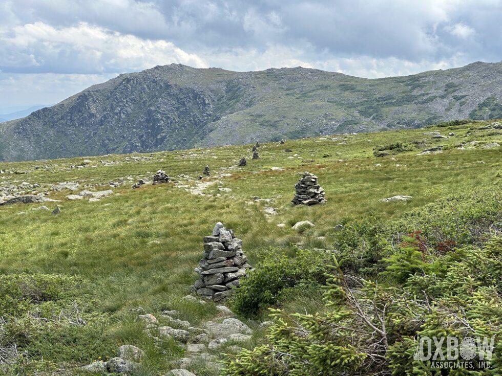 a grassy area with rocks and mountains in the background