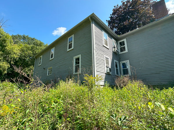 Invasive Plant Control IMG 2959