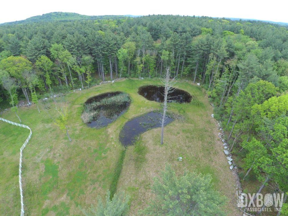 Aerial Drone Wetland Restoration
