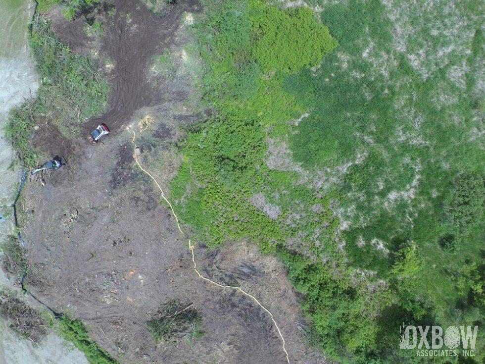 Meadow Restoration Drone Image 2