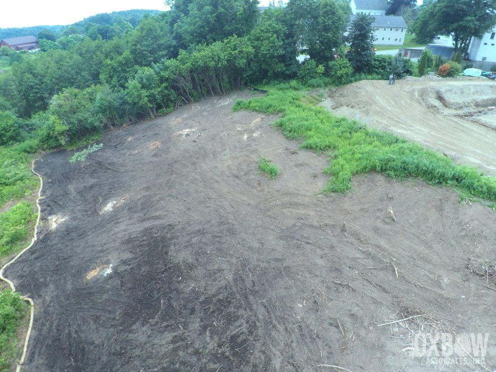 Meadow Restoration Drone Image